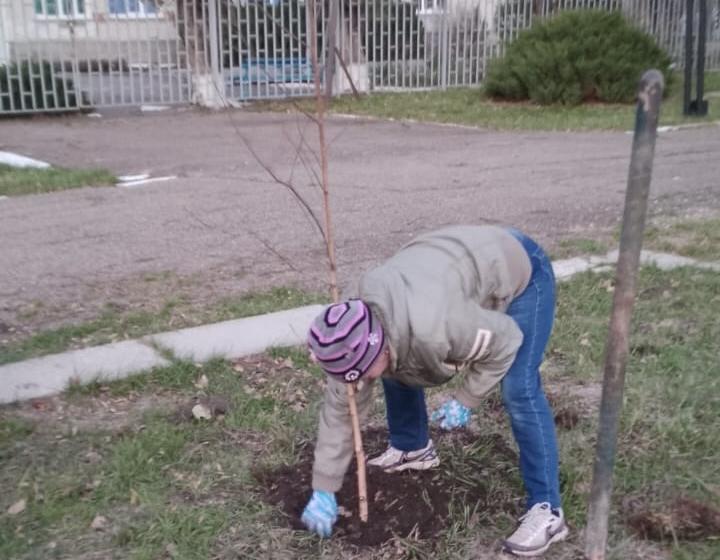 Ставропольский край. В память о коммунистах ВОВ - заколышутся березы!
