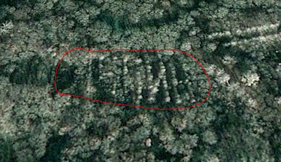 После обращения депутата-коммуниста Владимира Исакова геоглиф «Ленин» в г. Тамбове включён в список объектов, обладающих признаками объектов культурного наследия