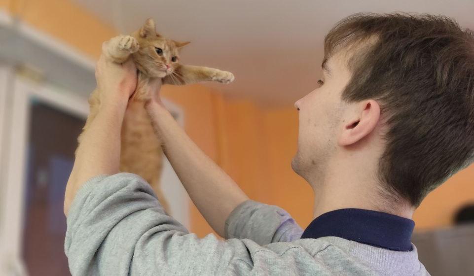 В международный день кошек красноярские комсомольцы провели благотворительную акцию в кошачьем приюте
