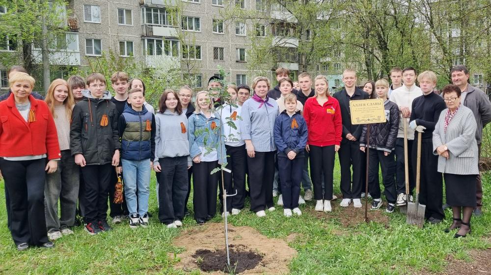 Тверской обком КПРФ организовал высадку деревьев в средней школе города Твери