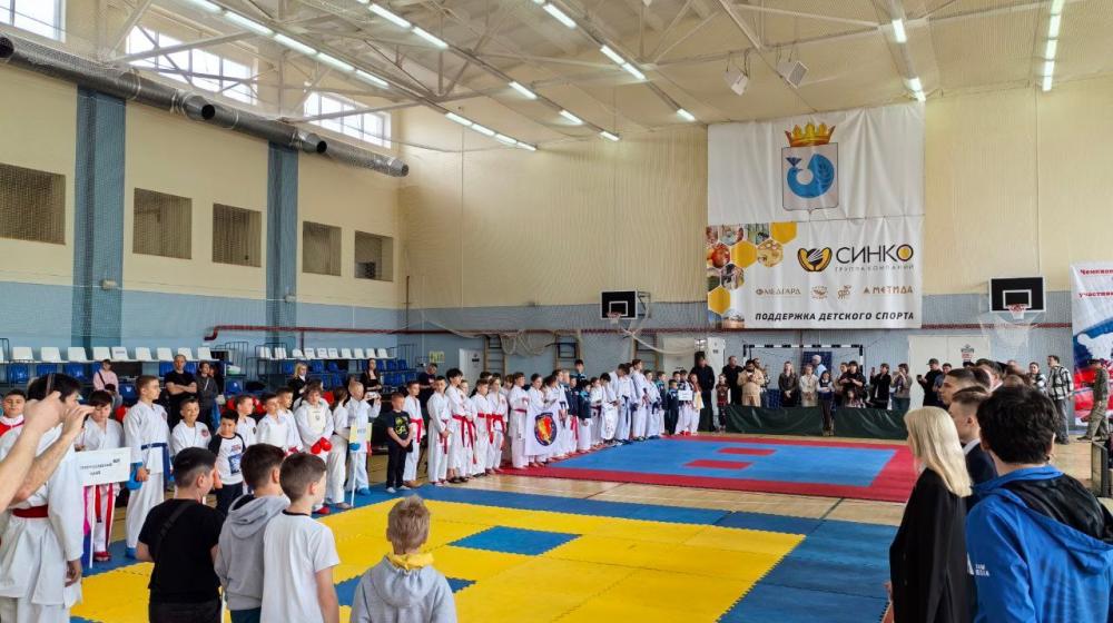 Самарские коммунисты приняли участие в открытии Чемпионата и Первенства России по каратэ WFKS