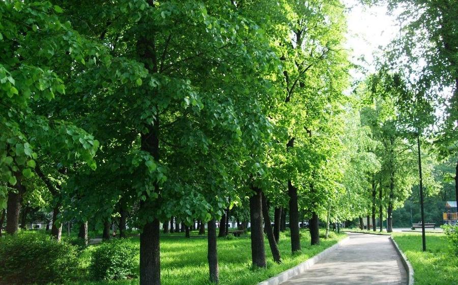 Москва. Народная приемная КПРФ. Депутат Госдумы Сергей Обухов: Столичные зелёные территории под федеральный контроль