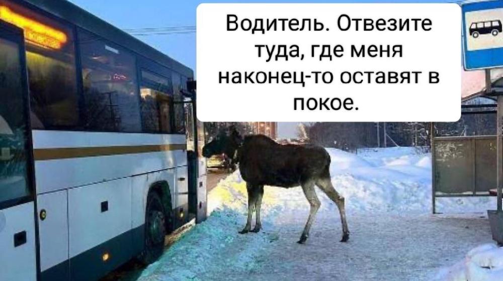 Москва. Народная приемная КПРФ в ВАО. «Лосиный остров»: безжалостный приговор мэрии уже вынесен?