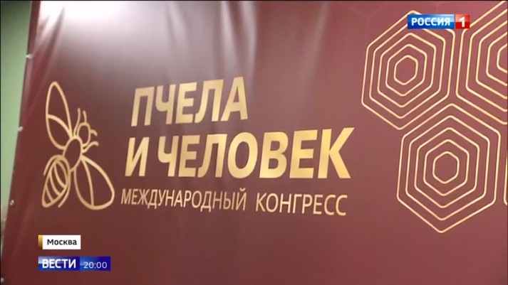 Освещение федеральным телевидением  Международного Конгресса  «Пчела и человек» 26 февраля 2026 года