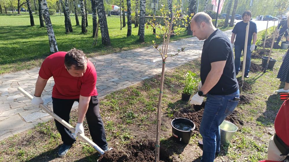Рязань. Коммунисты приняли участие в эколого-патриотической акции «Сад памяти»