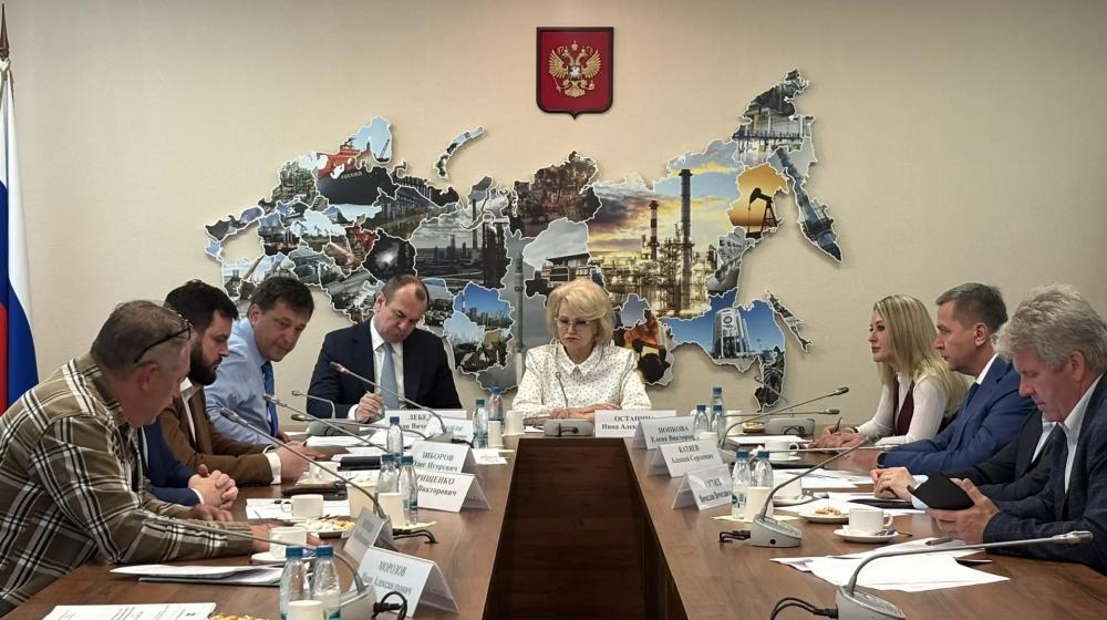 Н.А. Останина о заседании рабочей группы по проблемам малых региональных операторов связи