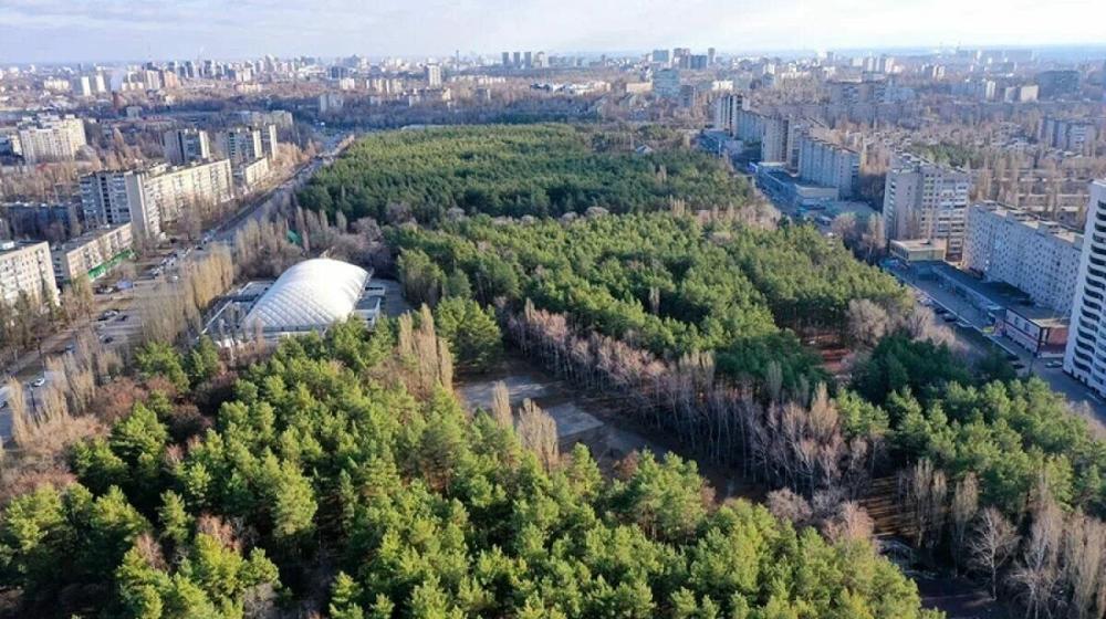 Воронеж. В КПРФ поинтересовались сроками завершения благоустройства парка «Танаис»