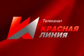 «Красная линия»: Липецкие коммунисты потребовали отмены электронного и трёхдневного голосования и отставки главы облизбиркома