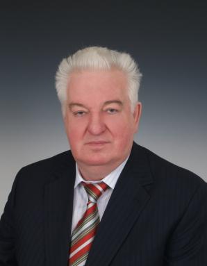 Персональная фотография Гостев Руслан Георгиевич