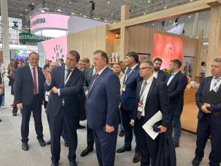 Размышления академика РАН Владимира Кашина о перспективах развития АПК на полях выставки «Золотая осень»