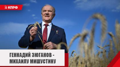 Геннадий Зюганов - Михаилу Мишустину: Обеспечить закупки зерна, снизить цены в магазинах