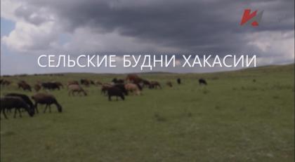 Специальный репортаж «Сельские будни Хакасии»