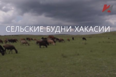 Специальный репортаж «Сельские будни Хакасии»