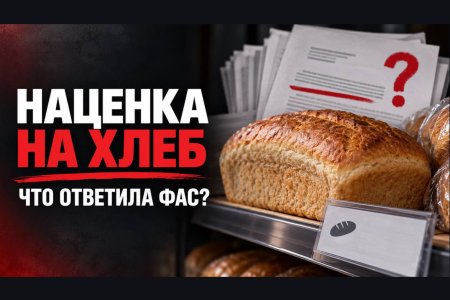 Ответ ФАС на запрос Обухова о росте цен на хлеб. «Аномальная наценка» исчезла из отчётов ФАС. Осталась только «готовность рассмотреть законопроект»