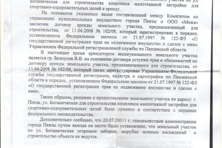 Химки по-пензенски