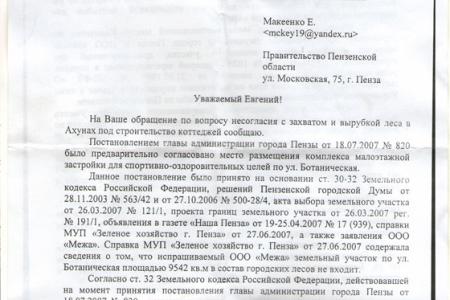 Химки по-пензенски