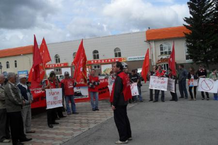 Алтайский край: комсомольский пикет против незаконной вырубки леса