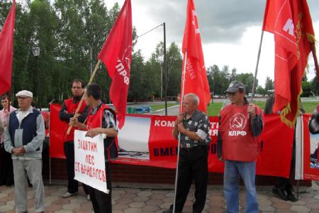 Алтайский край: комсомольский пикет против незаконной вырубки леса
