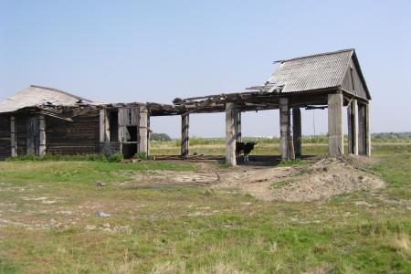 Народный референдум прошел по городам и селам Ханты-Мансийского автономного округа. Записки с места событий