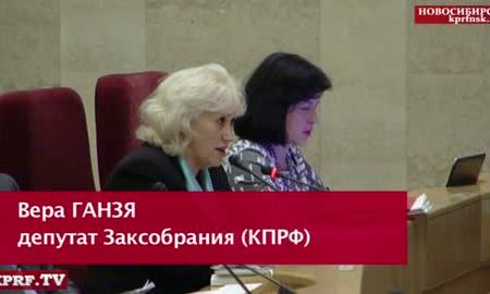 Видео. Новосибирская область. Повышение зарплат бюджетникам: Учителей ввели в заблуждение