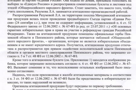 "Шарлатанство" пензенского ЕдРа: незаконная листовка и учителя-агитаторы