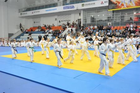 Ударим вместе! В Москве открылся Чемпионат России по тэквон-до, организованный при поддержке КПРФ