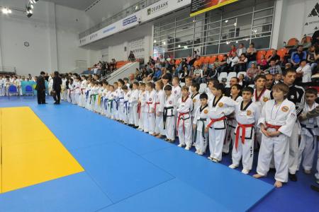 Ударим вместе! В Москве открылся Чемпионат России по тэквон-до, организованный при поддержке КПРФ