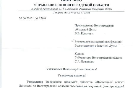 Волгоград. «Медвежьи» депутаты страшатся кинокамеры
