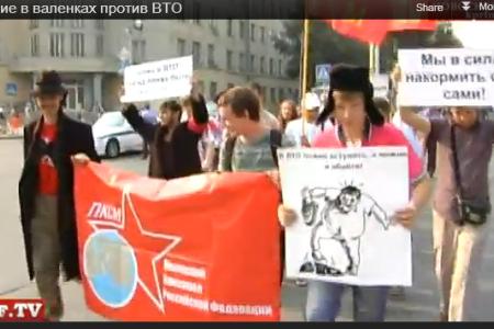Видео. Новосибирская область: Шествие в валенках против ВТО