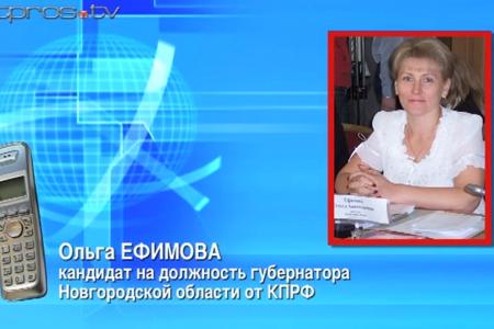 Видео. Новгородская область: "Муниципальный фильтр" превратился в "заглушку"