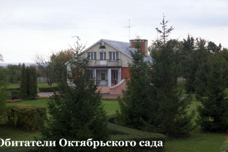 Пензенские коммунисты против вырубки городских лесов и парков