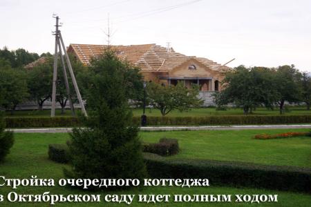 Пензенские коммунисты против вырубки городских лесов и парков