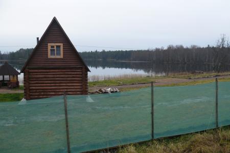 Петербургские природозащитники совместно с активистами движения «Русский лад» расследуют детектив: «Кто украл берег озера?»