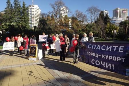 В Сочи в митинге против строительства ТЭС приняли участие около 200 человек