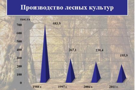 Академик В.И.Кашин: Правовое обеспечение развития системы особо охраняемых природных территорий и актуальные вопросы защиты лесов в Российской Федерации