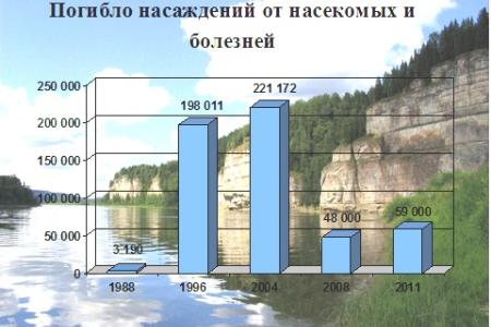 Академик В.И.Кашин: Правовое обеспечение развития системы особо охраняемых природных территорий и актуальные вопросы защиты лесов в Российской Федерации
