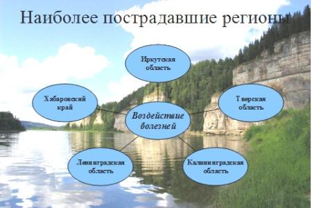 Академик В.И.Кашин: Правовое обеспечение развития системы особо охраняемых природных территорий и актуальные вопросы защиты лесов в Российской Федерации