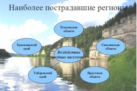 Академик В.И.Кашин: Правовое обеспечение развития системы особо охраняемых природных территорий и актуальные вопросы защиты лесов в Российской Федерации