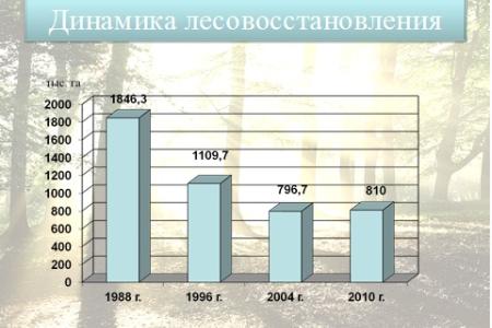 Академик В.И.Кашин: Правовое обеспечение развития системы особо охраняемых природных территорий и актуальные вопросы защиты лесов в Российской Федерации