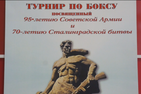 Встреча юниоров. Соревнования по боксу, посвященные 95-летию Советской Армии и 70-летию победы в Сталинградской битве
