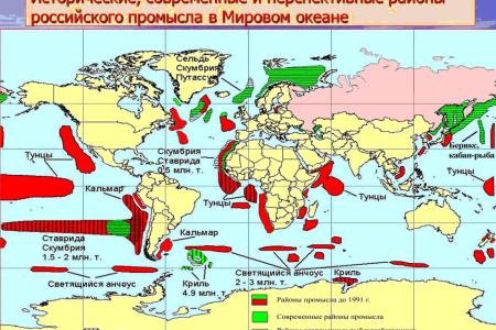 Развитие рыбохозяйственной отрасли России – задача государственной важности. Выступлениен академика РАСХН В.И.Кашина на парламентских слушаниях в Государственной Думе ФС РФ