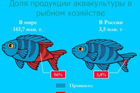 Развитие рыбохозяйственной отрасли России – задача государственной важности. Выступлениен академика РАСХН В.И.Кашина на парламентских слушаниях в Государственной Думе ФС РФ