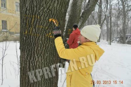 Рязанские коммунисты вместе с эко-активистами помогли защитить от вырубки дубовую рощу