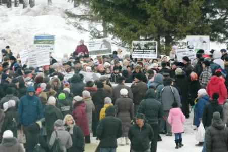 Новосибирская область: Жители Краснообска провели митинг против вырубки леса 