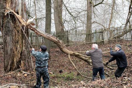 Псковские коммунисты провели субботник