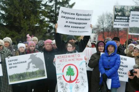 Новосибирская область: Жители Краснообска провели митинг против вырубки леса 