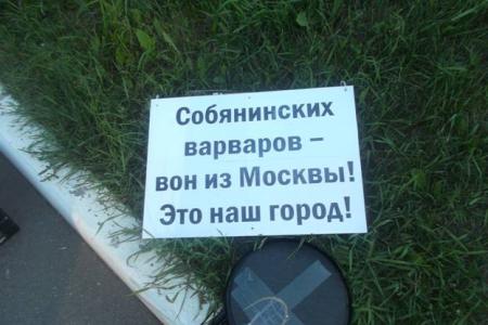 Восемь митингов и три пикета за один день: москвичи осудили экологическую политику столичного правительства