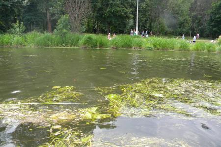 Подмосковные экологи и коммунисты устроили рейд по Клязьме