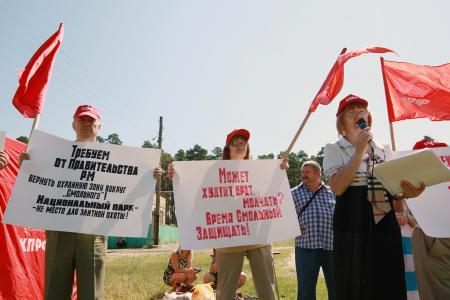 Республика Мордовия. «Смольный» просит защиты, или кто убил последних кроншнепов