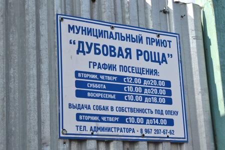 «Никто не может запретить человеку быть добрым!». И.И. Мельников встретился с активистами зоозащитных движений